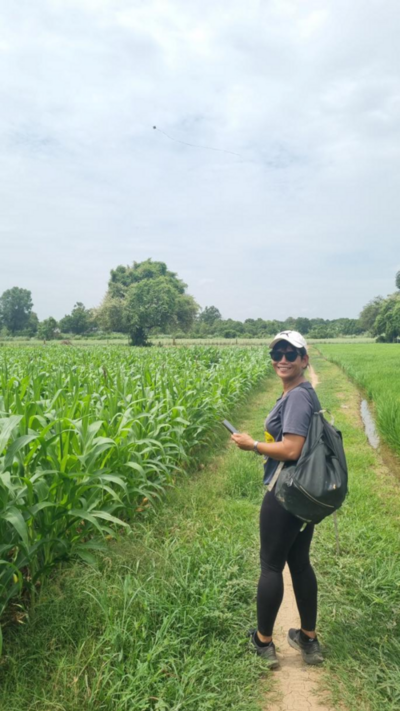 Hare Raiser – Cock Climber